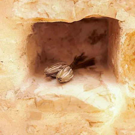 Heritage House Vrime - Stone House With Heated Pool