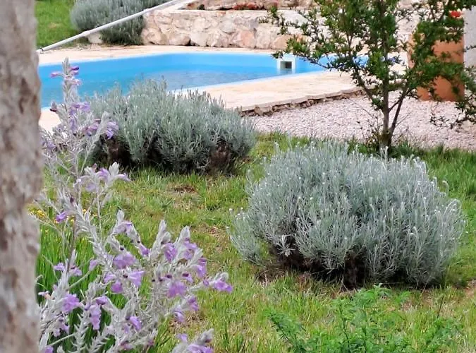 Heritage House Vrime - Stone House With Heated Pool *